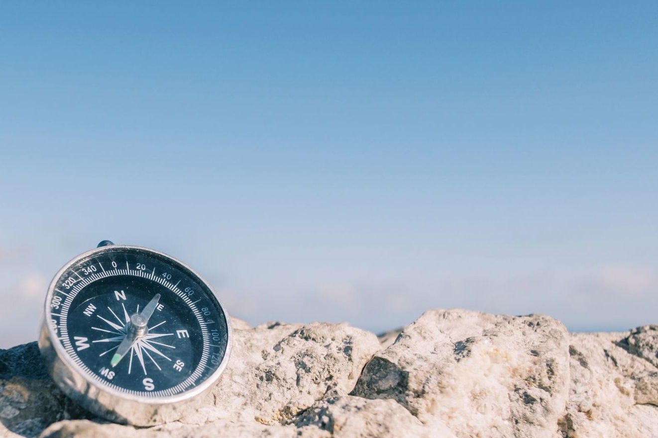 Silhouette einer Person am Meer bei Sonnenuntergang, Arm erhoben, Vogel fliegt vorbei.